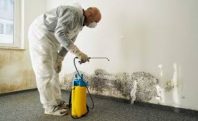 Best Industrial Mold Remediation in Wilder, ID