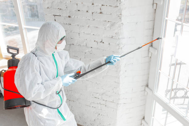 Wilder, ID Mold Removal Company